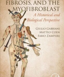Wound Healing, Fibrosis, and the Myofibroblast A Historical and Biological Perspective - Original PDF