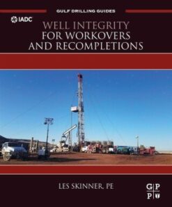 Well Integrity for Workovers and Recompletions - Original PDF